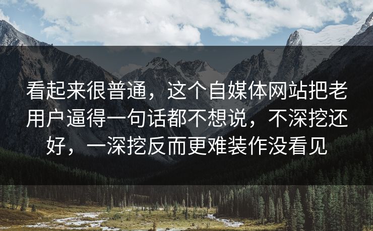 看起来很普通，这个自媒体网站把老用户逼得一句话都不想说，不深挖还好，一深挖反而更难装作没看见