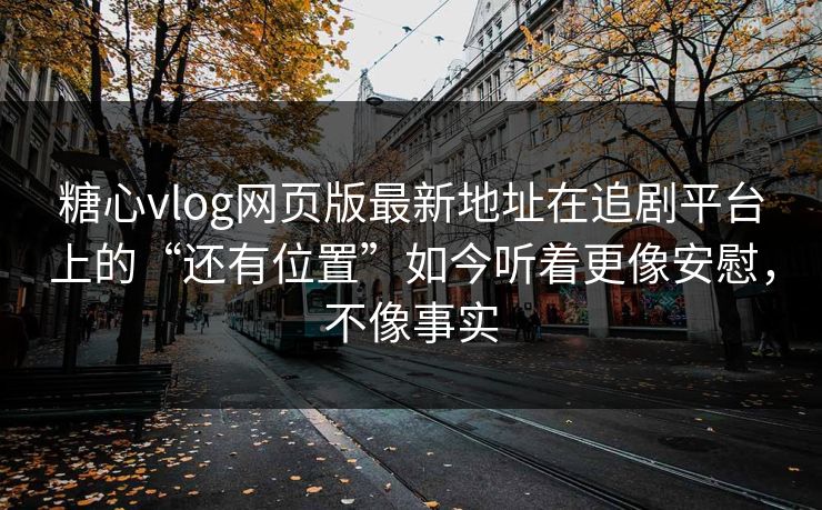 糖心vlog网页版最新地址在追剧平台上的“还有位置”如今听着更像安慰，不像事实